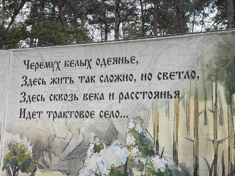 🌸 🥟 VIII Черёмуховый фестиваль в Черемхово собрал 16 000 гостей!