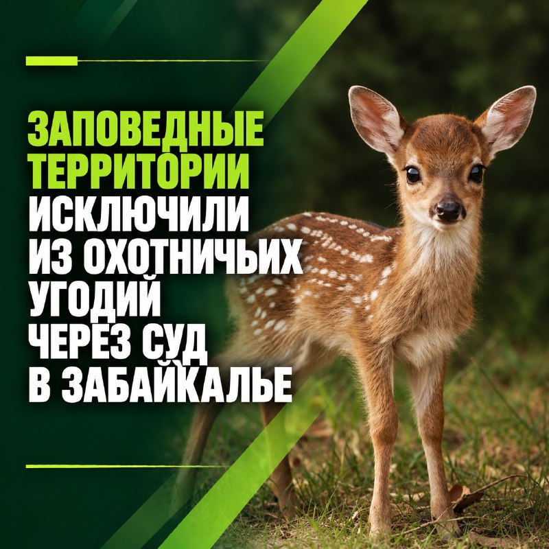 В Забайкалье заповедную территорию исключили из охотничьих угодий