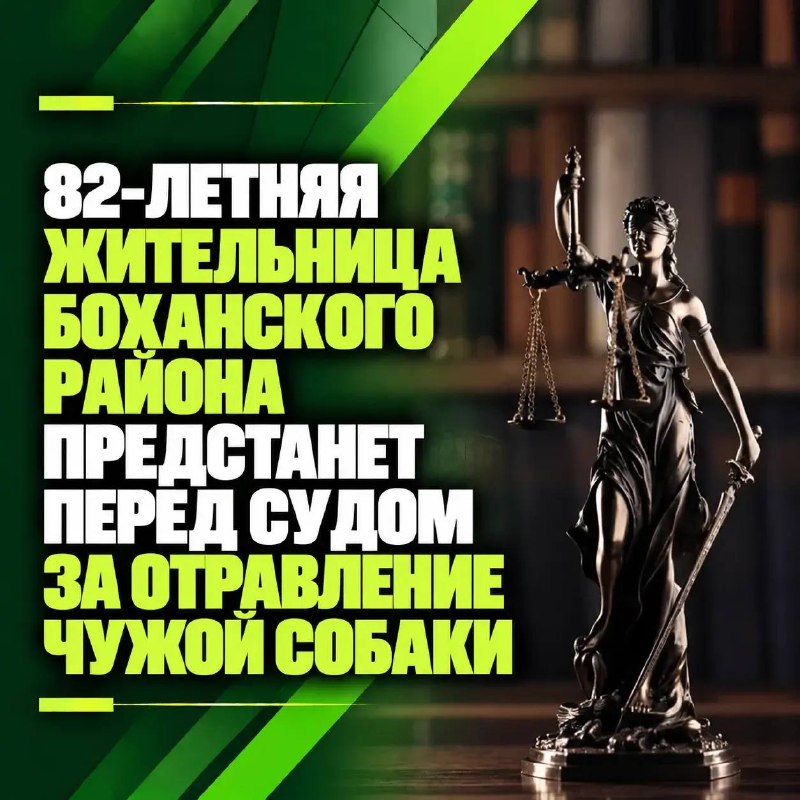 82-летняя жительница Боханского района предстанет перед судом за отравление чужой собаки