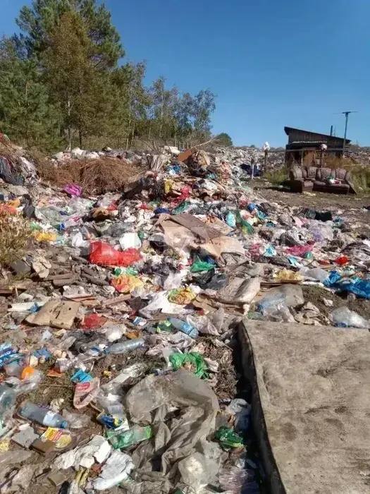 Жители поселка Кокуй в Забайкалье больше двух недель живут рядом с мусором