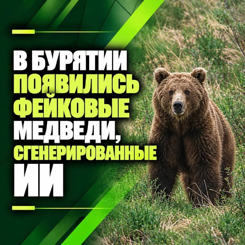 В Бурятии появились фейковые медведи, сгенерированные ИИ