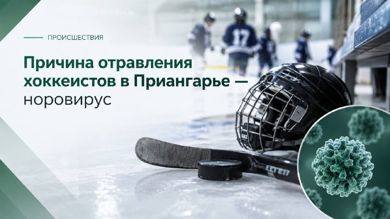 🏒 В Приангарье расследуют массовое отравление юных хоккеистов из Новосибирска Две новосибирские…