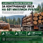 🌲 В Иркутске вынесли приговор за контрабанду леса на 681 миллион рублей
