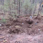 Двое мужчин погибли после нападений медведей в Иркутской области