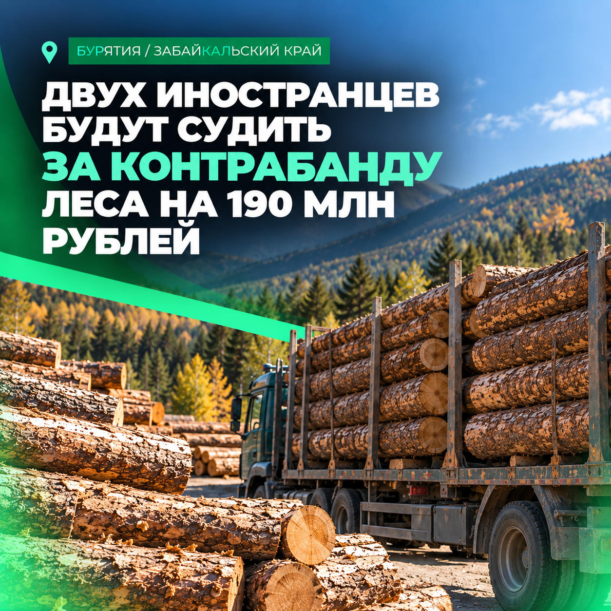 🌲 Двух иностранцев будут судить за контрабанду леса на 190 млн рублей